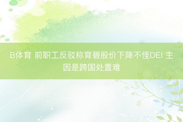 B体育 前职工反驳称育碧股价下降不怪DEI 主因是跨国处置难
