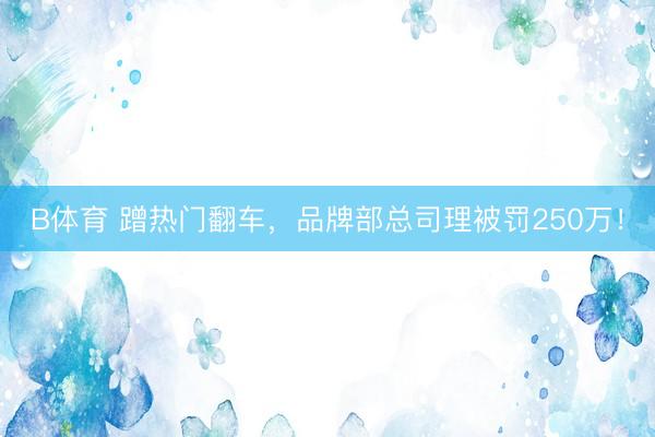 B体育 蹭热门翻车，品牌部总司理被罚250万！