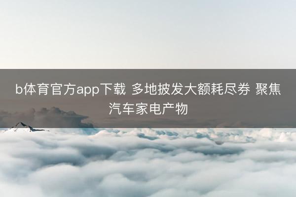 b体育官方app下载 多地披发大额耗尽券 聚焦汽车家电产物
